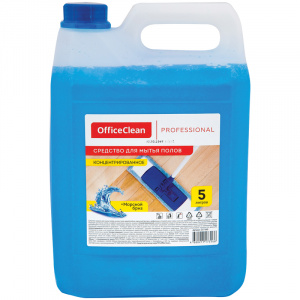 Средство для мытья полов OFFICECLEAN Professional, канистра 5л, 607966,257299