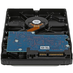 PV00000351