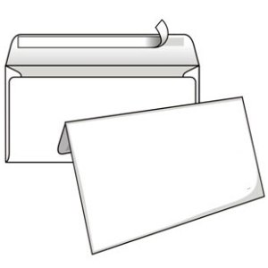 FO42808.jpg